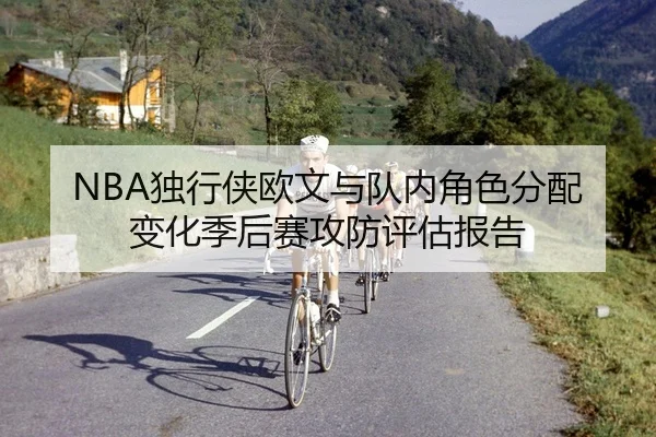 du-xing-xia-ou-wen-yu-dui-nei-jue-se-fen-pei-bian-hua-ji-hou-sai-gong-fang-ping-gu-bao-gao-2-365.jpg